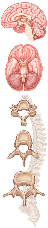 Neurosurgery in India