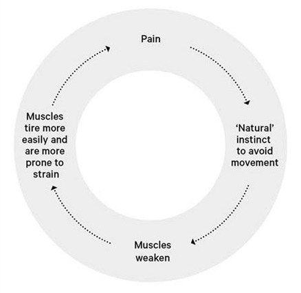 Neck pain cycle