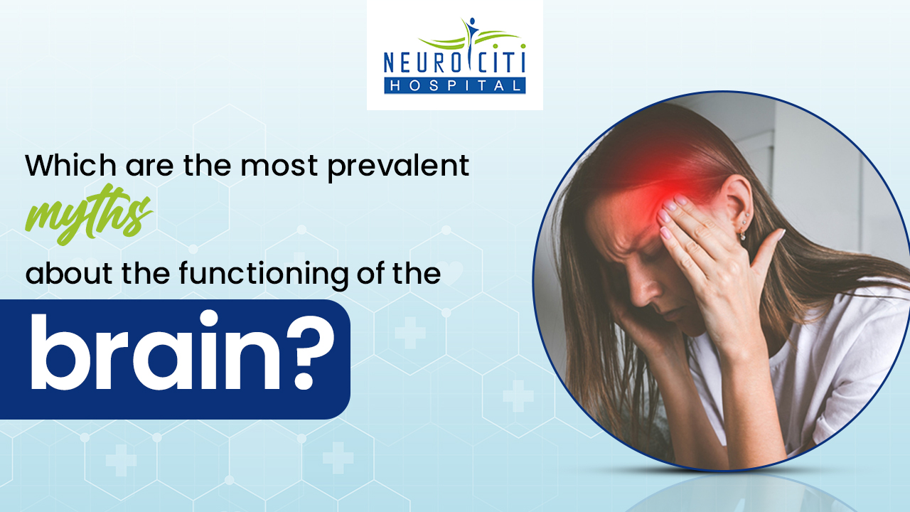 Which are the most prevalent myths about the functioning of the brain?