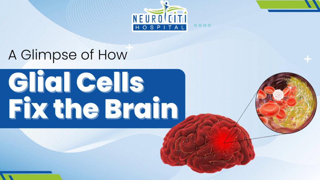 Medical illustration showing a red human brain with a zoomed-in view of glial cells and blood cells, accompanied